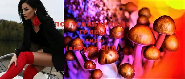 дживик Аркадак