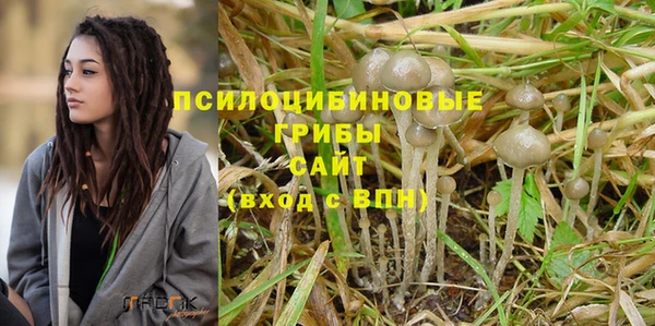 герыч Алексин